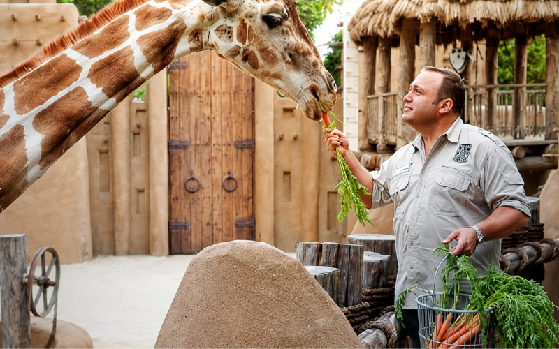 Coverbild: Dein Zoo