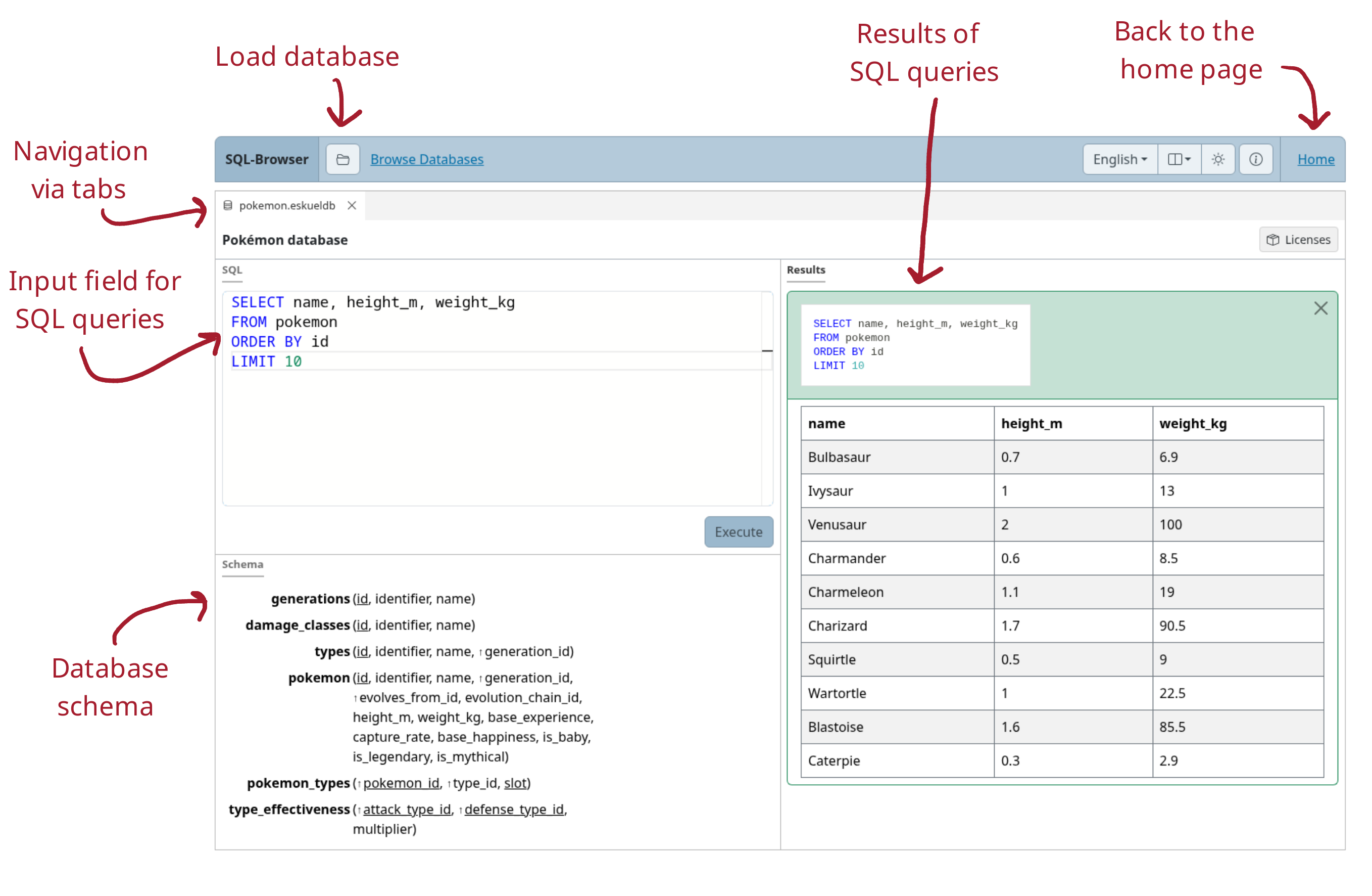 SQL Browser with labelled controls