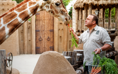 Vorschaubild: Dein Zoo